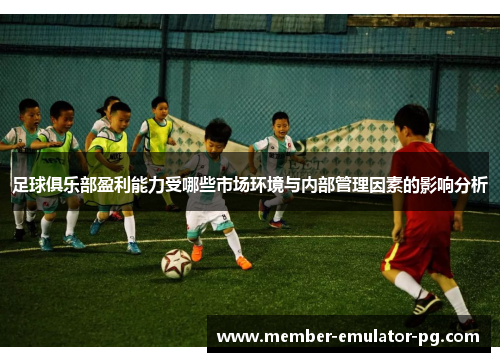 足球俱乐部盈利能力受哪些市场环境与内部管理因素的影响分析