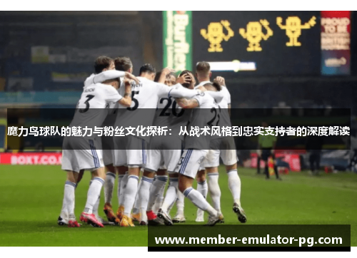 魔力鸟球队的魅力与粉丝文化探析：从战术风格到忠实支持者的深度解读